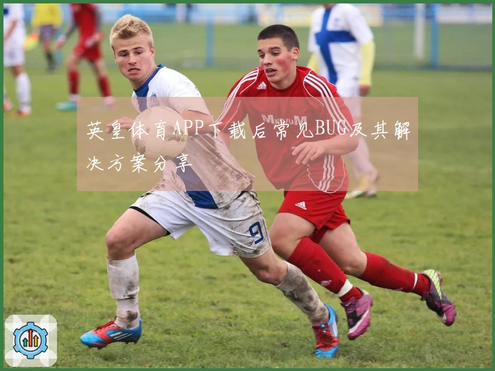 英皇体育APP下载后常见BUG及其解决方案分享