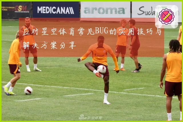 应对星空体育常见BUG的实用技巧与解决方案分享