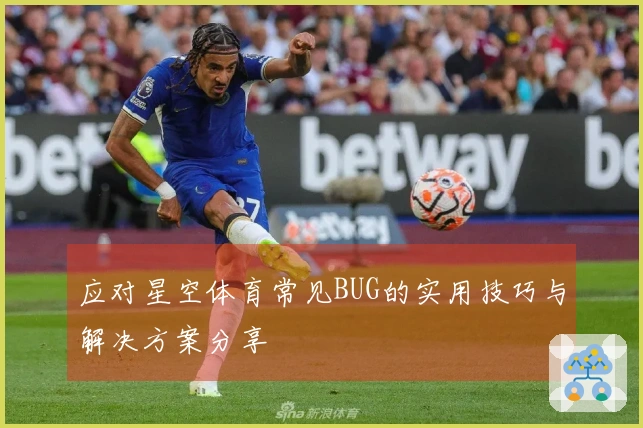应对星空体育常见BUG的实用技巧与解决方案分享